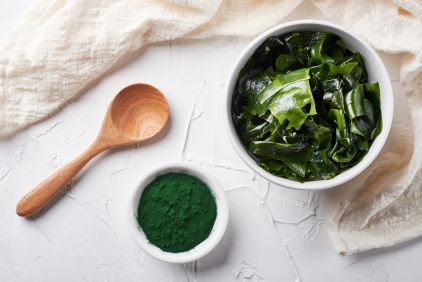 production chlorella bio et spiruline bio