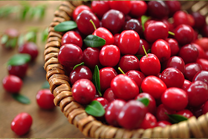 diuretiques-naturels-cranberry