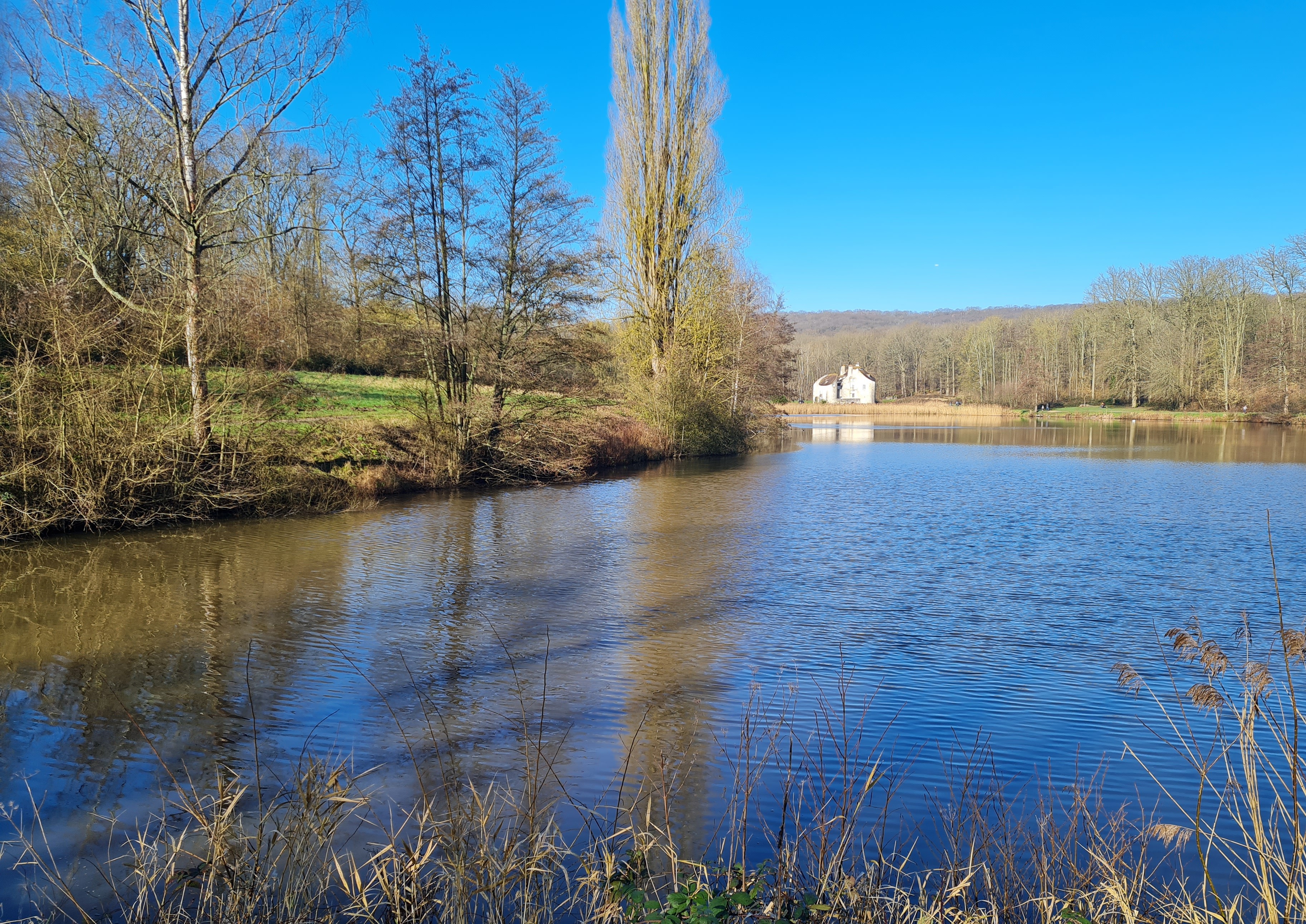 Photo de l'étang du château de la chasse