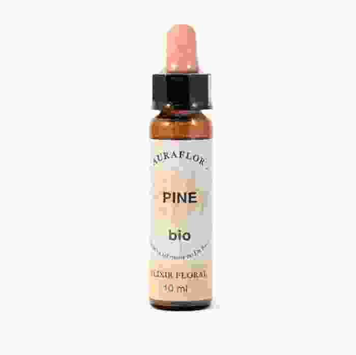 image de Pin Sylvestre – Fleurs de Bach bio - Dioter
