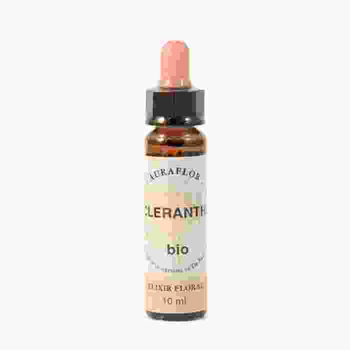 image de Scleranthe – Fleurs de Bach bio - Dioter