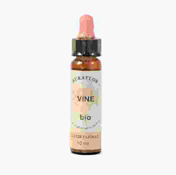 image de Vigne – Fleurs de Bach bio - Dioter