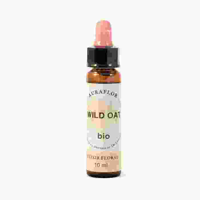 image de Avoine sauvage – Fleurs de Bach bio - Dioter