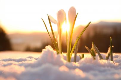 Mars, la fin de l'hiver et le début du printemps !