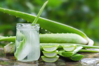 Les Vertus de l'Aloe Vera