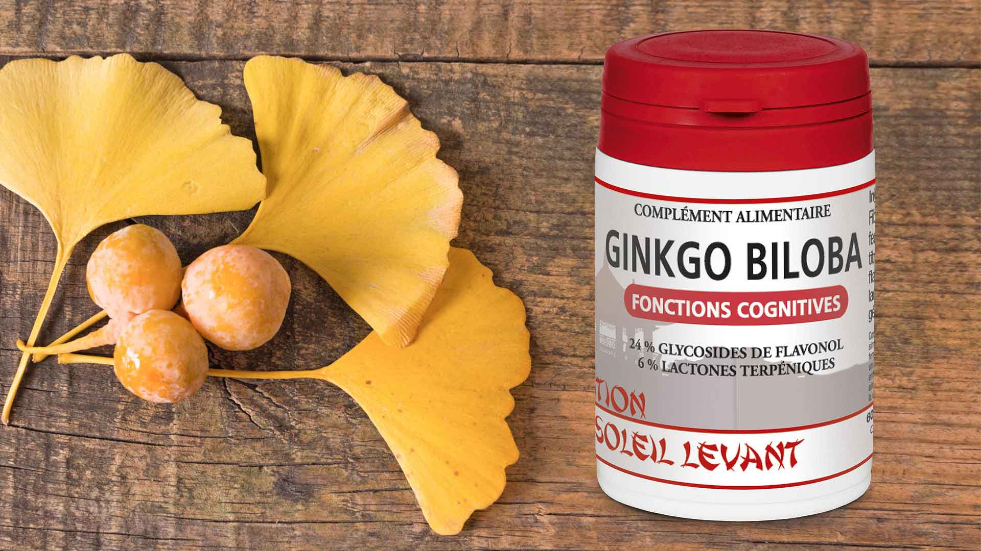 Ginkgo Biloba de Tradition du Soleil Levant. Fonctions cognitives.