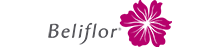 Beliflor